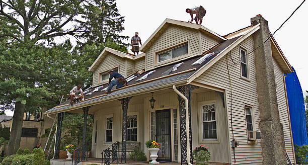 Best Storm Damage Roof Repair  in North Beach Haven, NJ